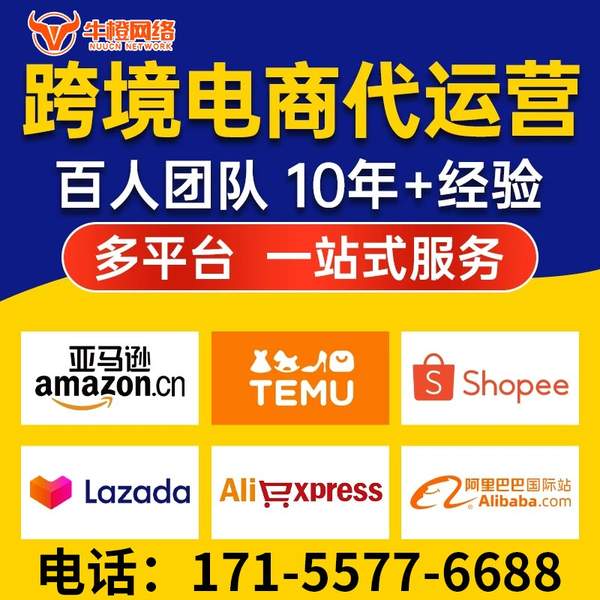 果洛电商代运营