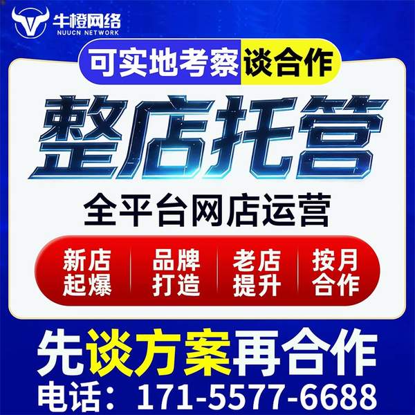 果洛电商代运营