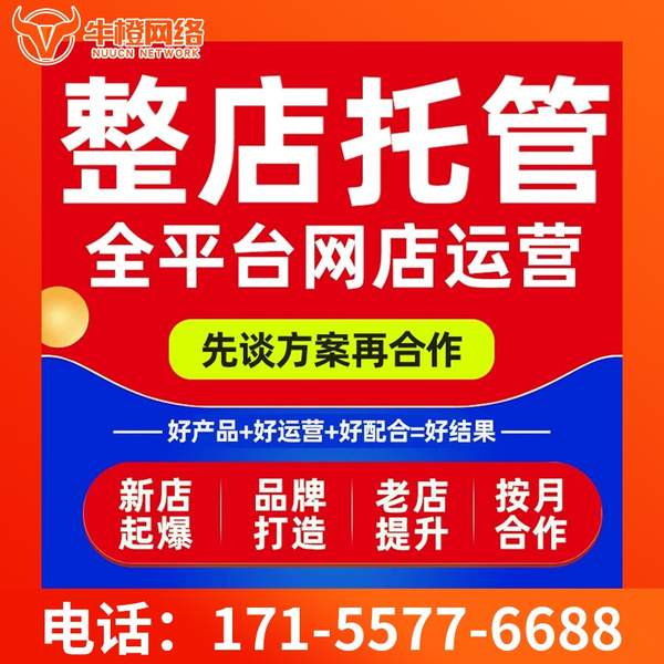果洛电商代运营