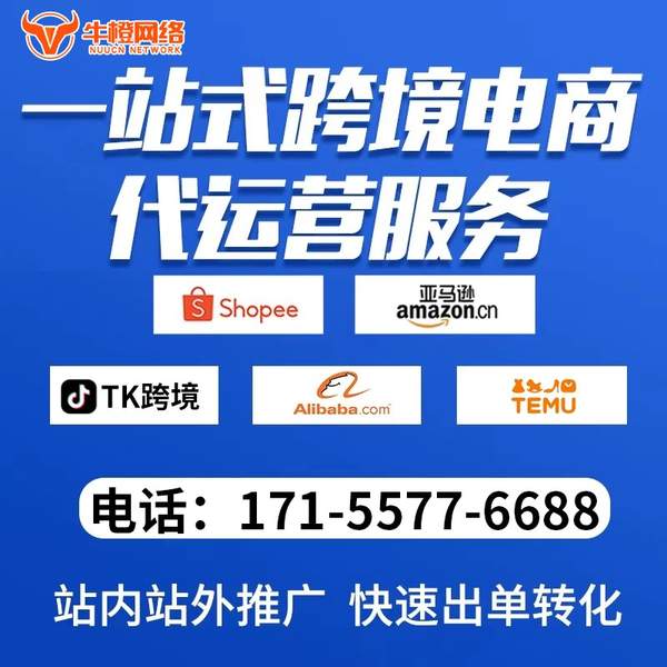 果洛电商代运营