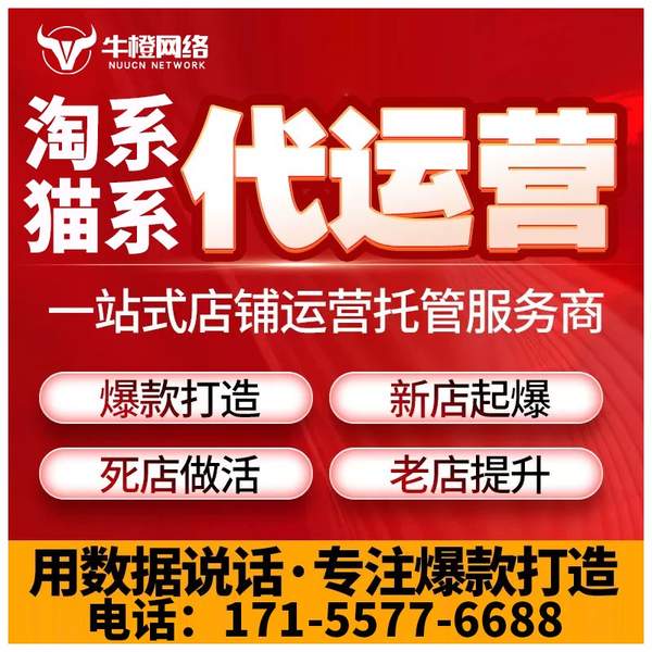 果洛电商代运营